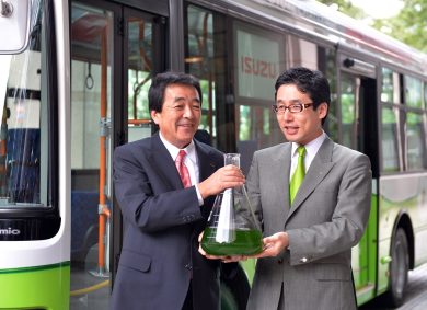 Come si ricava carburante dalle alghe in Giappone