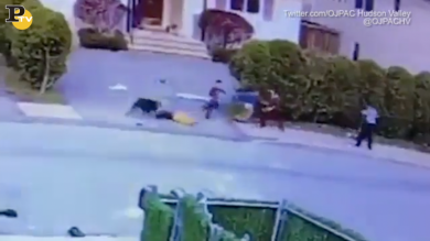 Pitbull attacca e morde bambino di tre anni | video