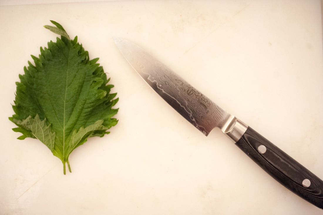 Lo chef Enrico Bartolini e la ventresca di tonno – FOTO e VIDEO Lo chef Enrico Bartolini e la ventresca di tonno – FOTO e VIDEO