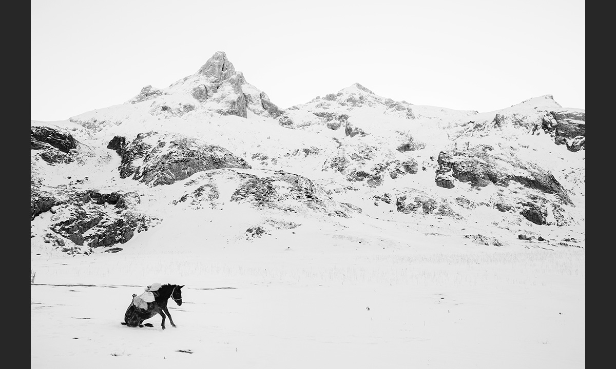 Sony World Photography Awards 2017: le foto dei vincitori