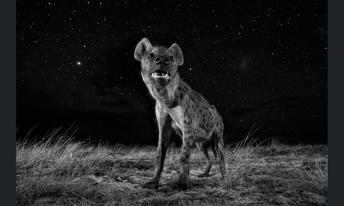 Sony World Photography Awards 2017: le foto dei vincitori