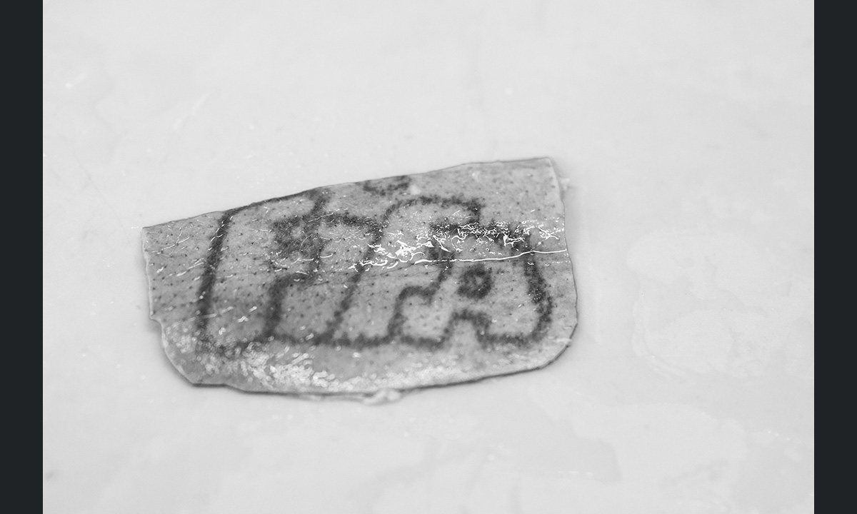 Sony World Photography Awards 2017: le foto dei vincitori