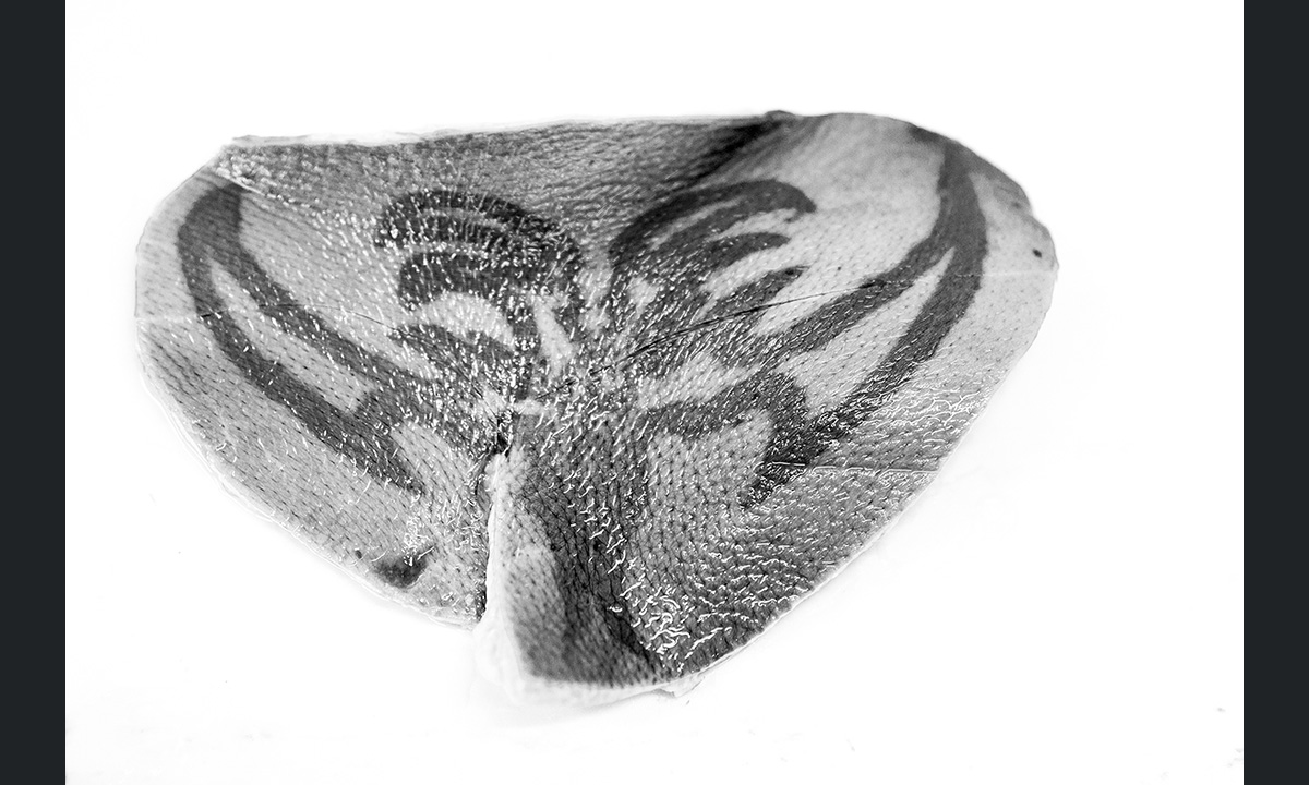 Sony World Photography Awards 2017: le foto dei vincitori