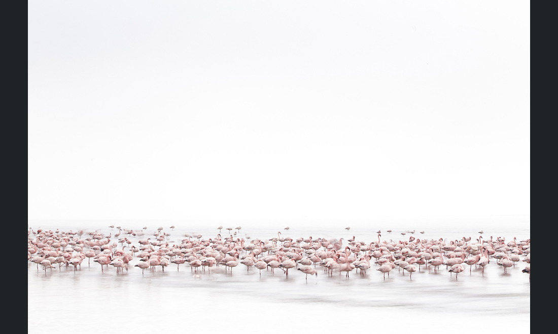 Sony World Photography Awards 2017: le foto dei vincitori