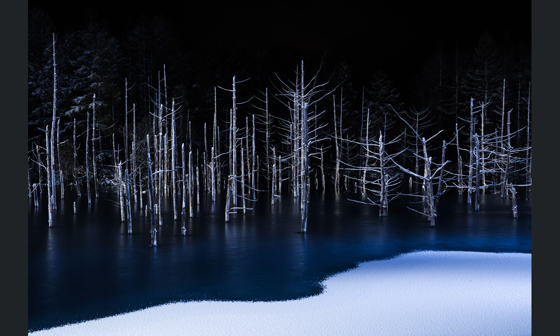 Sony World Photography Awards 2017: le foto dei vincitori