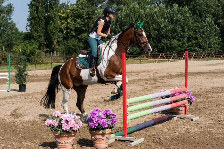 Sony Alpha 9, la regina della raffica