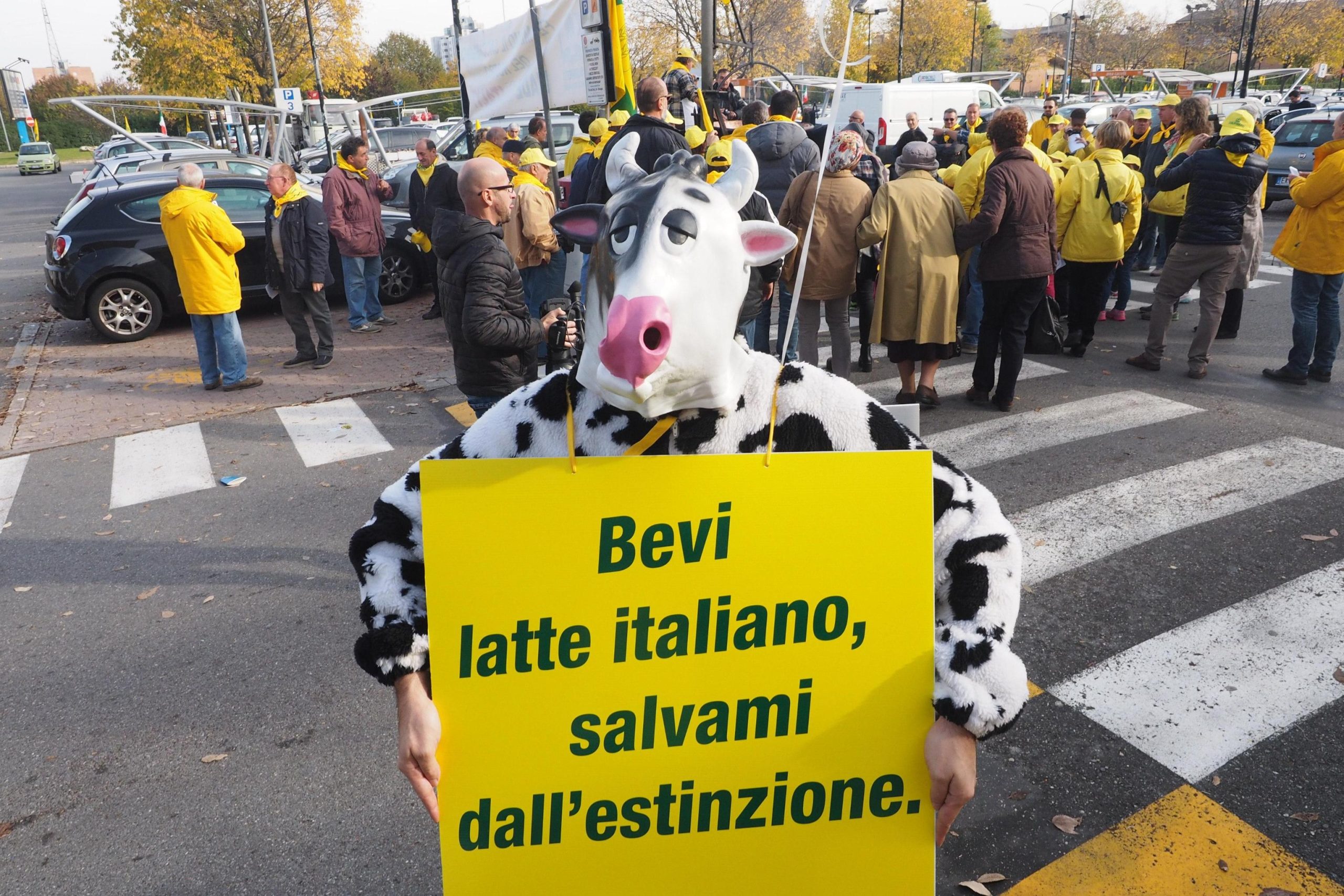 Latte e formaggi, ecco come saranno le nuove etichette