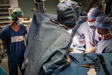 Alfio Quarteroni: the Italian scientist revolutionizing the study of the heart