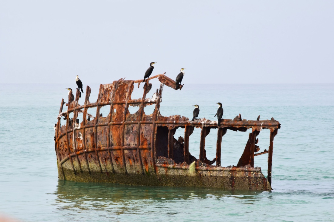 Galleria foto 'Storie di barche e di migranti raccontate in foto' - foto 7