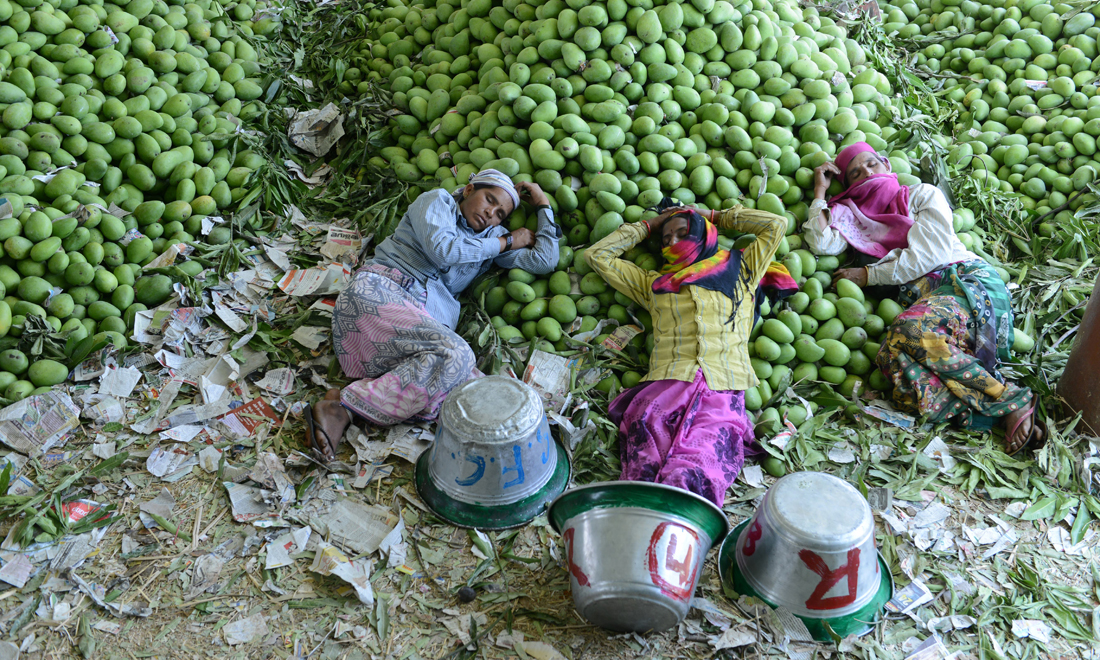 Le foto più belle della settimana – 8/14 aprile Le foto più belle della settimana – 8/14 aprile