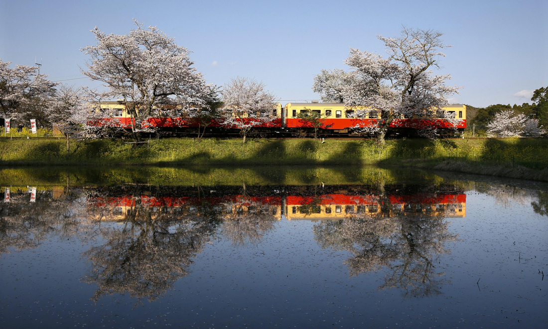 Le foto più belle della settimana – 8/14 aprile Le foto più belle della settimana – 8/14 aprile