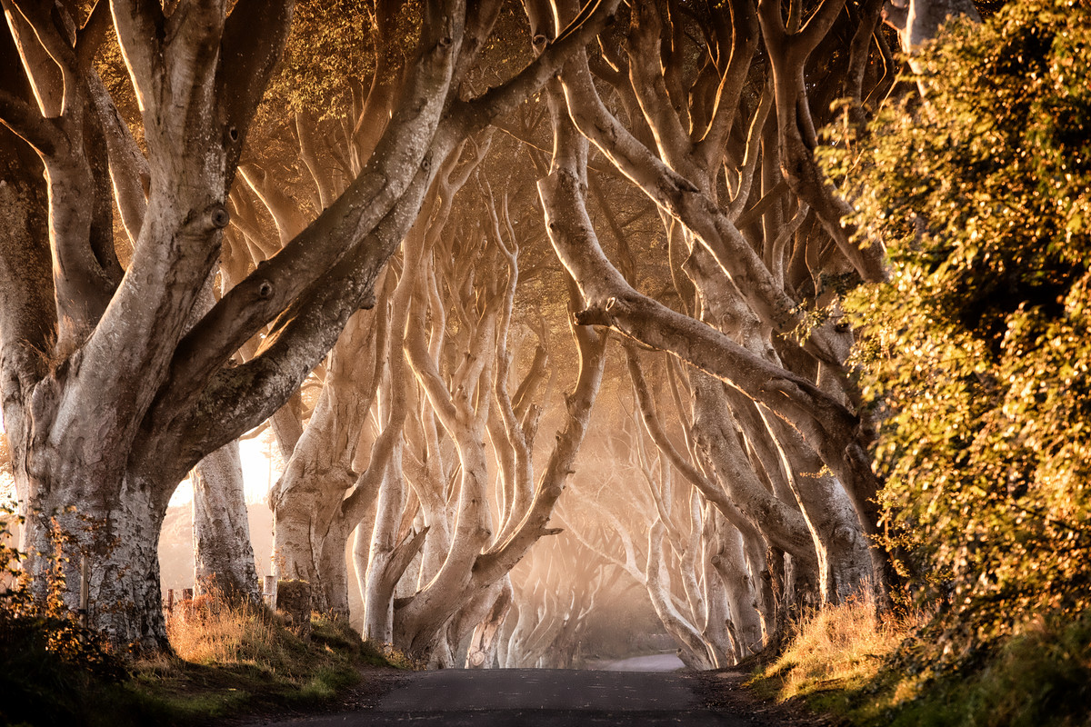 Game of Thrones: tutte le location dell’Irlanda del nord Game of Thrones: tutte le location dell’Irlanda del nord