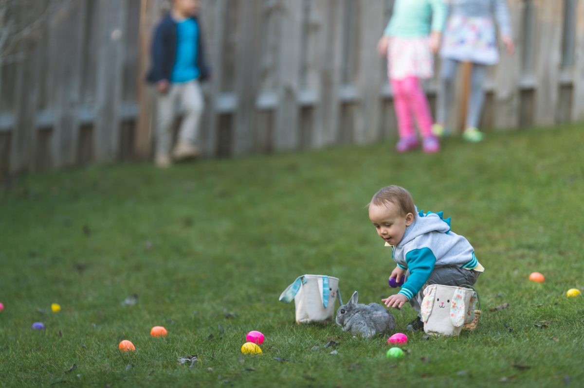Galleria foto 'Pasqua, tra sacro e profano: i riti più belli' - foto 12