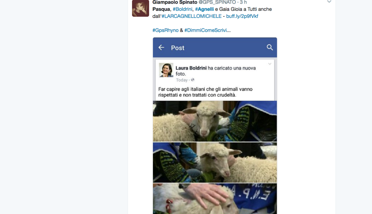 Galleria foto 'Pasqua, la battaglia social sull’agnello' - foto 3