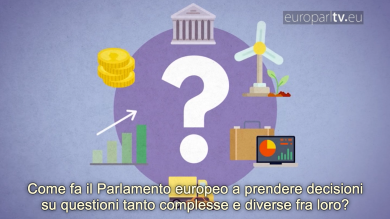 Parlamento Europeo: cosa sono e come lavorano le “commissioni”