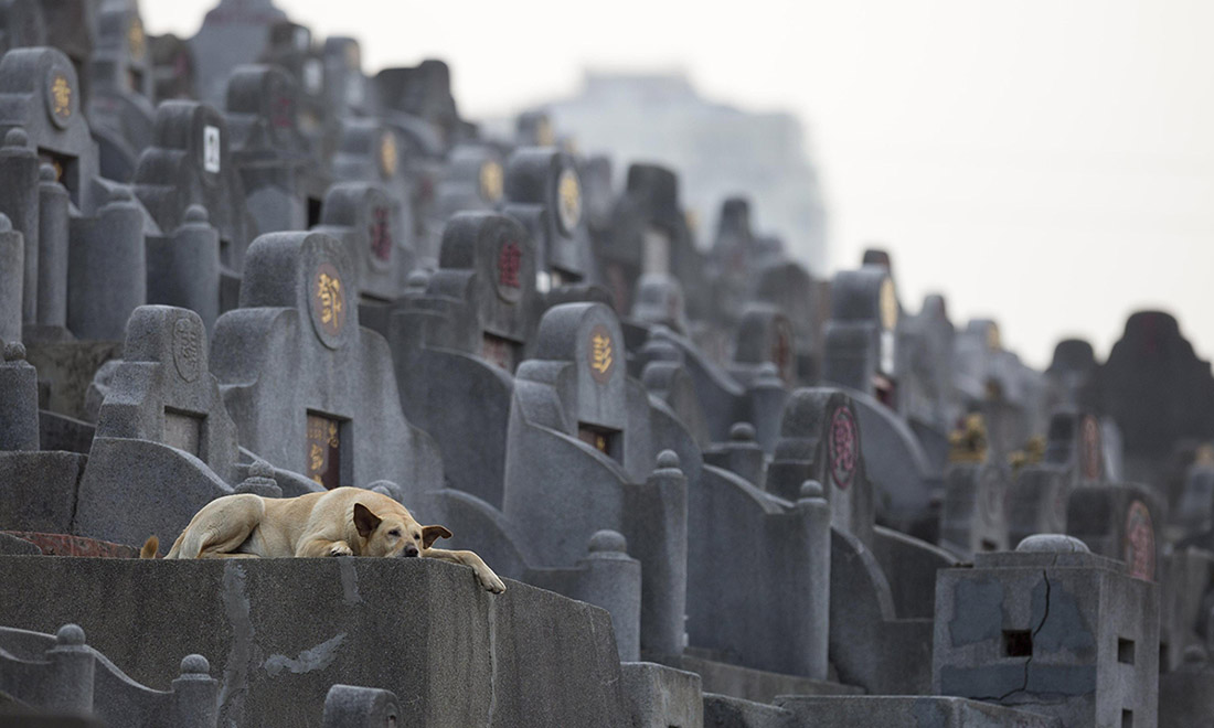 Le foto più belle della settimana – 1/7 aprile