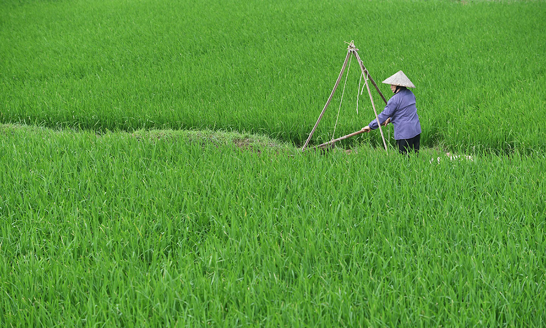 Le foto più belle della settimana – 1/7 aprile