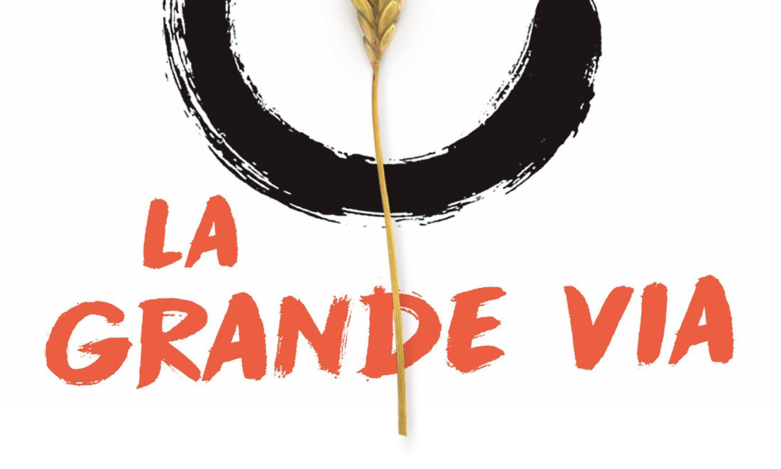 Salute, tutti i libri per una vita sana