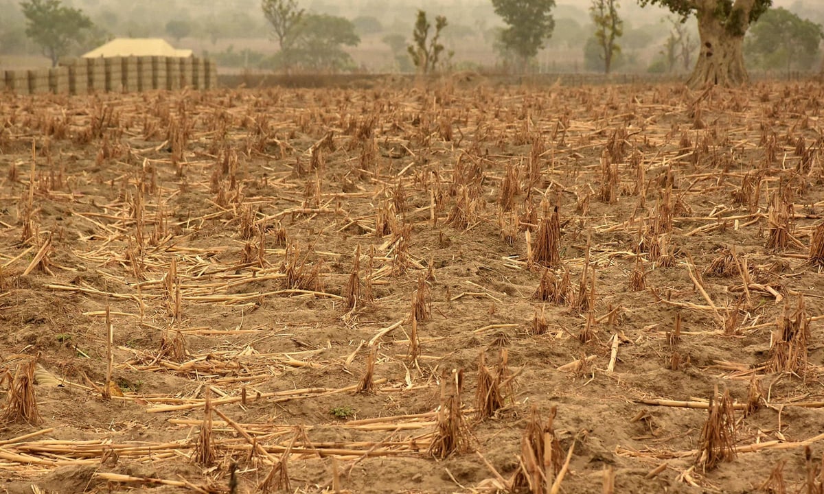 Fame nel mondo: 108 milioni di malnutriti nel 2016