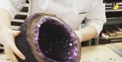 Creazione della natura o…di un pasticcere?