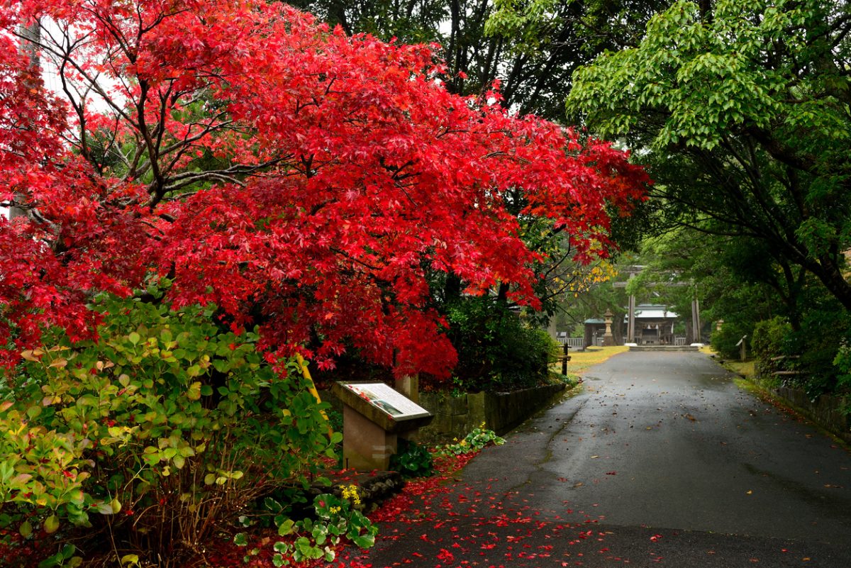 Galleria foto 'L’isola (sacra) per soli uomini' - foto 2
