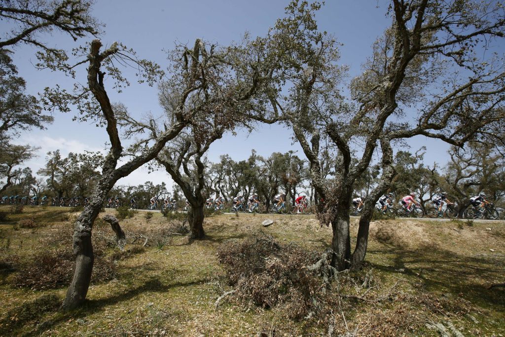 Tom Dumoulin è il primo olandese a vincere il Giro d’Italia