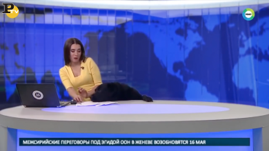 Russia: cane entra in diretta tv. Conduttrice nel panico