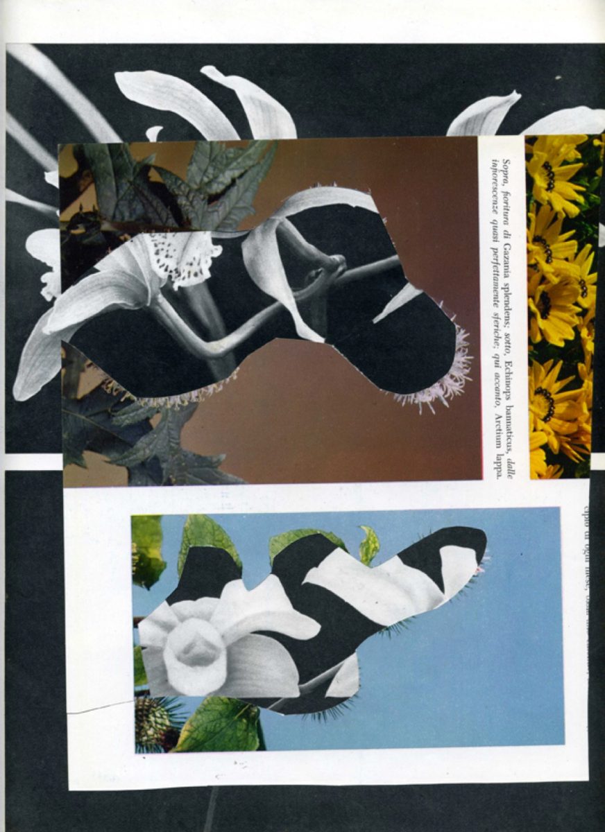 Granpalazzo 2017. Ad Ariccia la terza edizione Granpalazzo 2017. Ad Ariccia la terza edizione