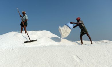 Le foto più belle della settimana – 13/19 maggio