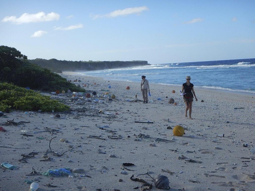 Henderson Island, è nel Pacifico l’isola più inquinata del mondo Henderson Island, è nel Pacifico l’isola più inquinata del mondo