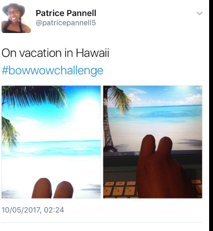 Social, impazza il #BowWowchallenge