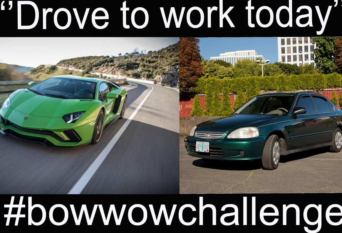 Social, impazza il #BowWowchallenge