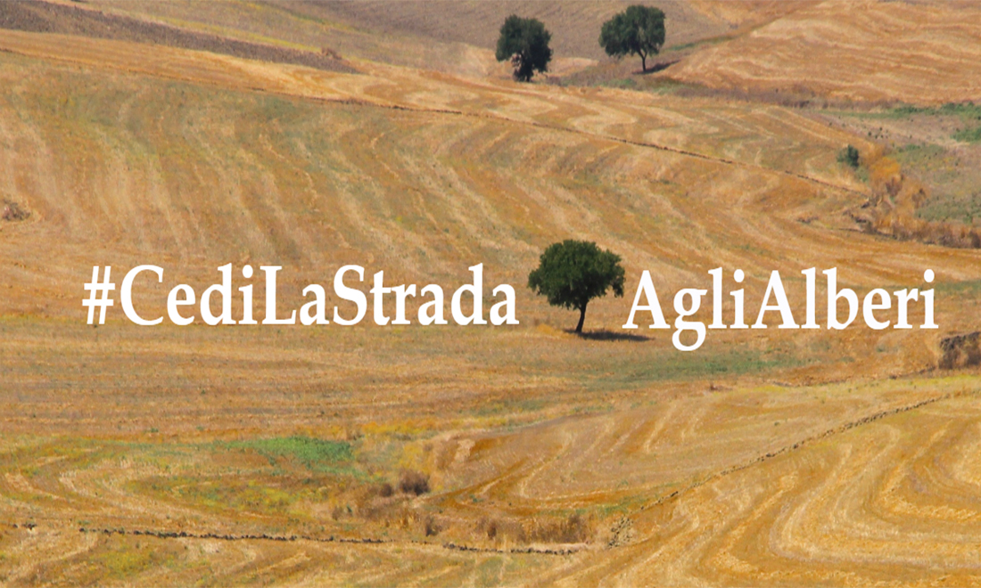 #CediLaStradaAgliAlberi: un challenge per scatenare la vostra voglia di poesia