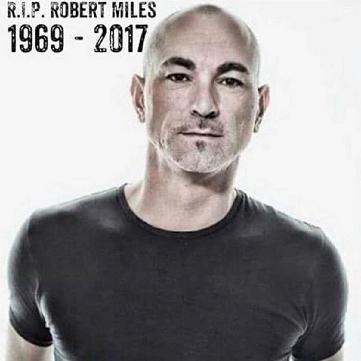 Galleria foto 'È morto Robert Miles, il dj che ha duettato con Robert Fripp' - foto 2