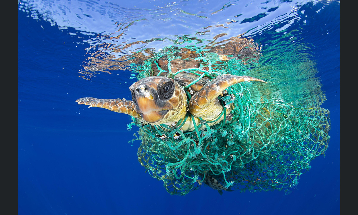 World Press Photo 2017: la mostra a Roma e Milano