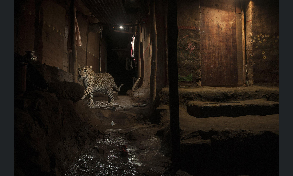 World Press Photo 2017: la mostra a Roma e Milano