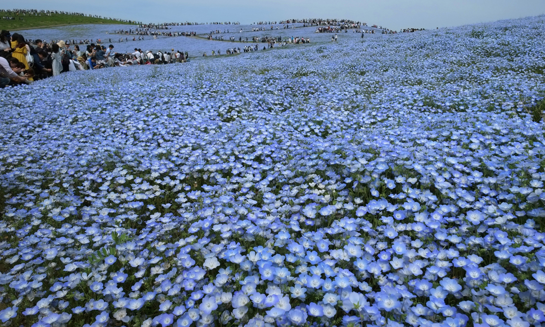 Le foto più belle della settimana – 29 aprile/5 maggio Le foto più belle della settimana – 29 aprile/5 maggio