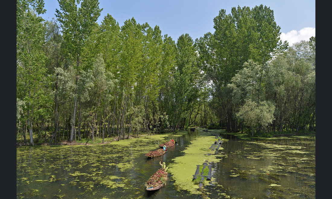 Le foto più belle della settimana – 29 aprile/5 maggio Le foto più belle della settimana – 29 aprile/5 maggio