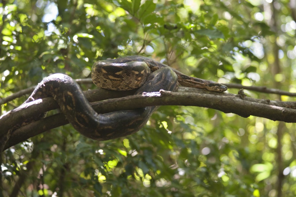 Galleria foto 'I 10 luoghi più pericolosi al mondo' - foto 7