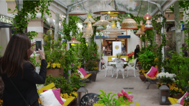 The Creative Spot Design a Fidenza Village