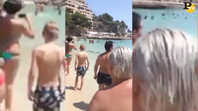 Squalo in spiaggia a Maiorca tra i bagnanti