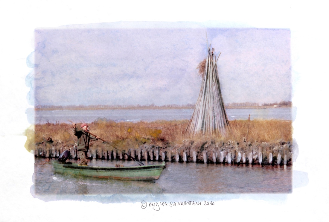 Andrea Samaritani: foto dipinte Andrea Samaritani: foto dipinte