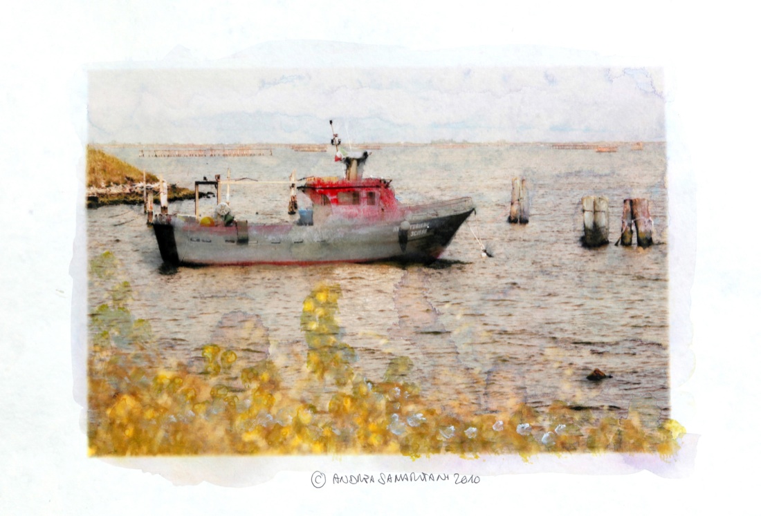 Andrea Samaritani: foto dipinte Andrea Samaritani: foto dipinte