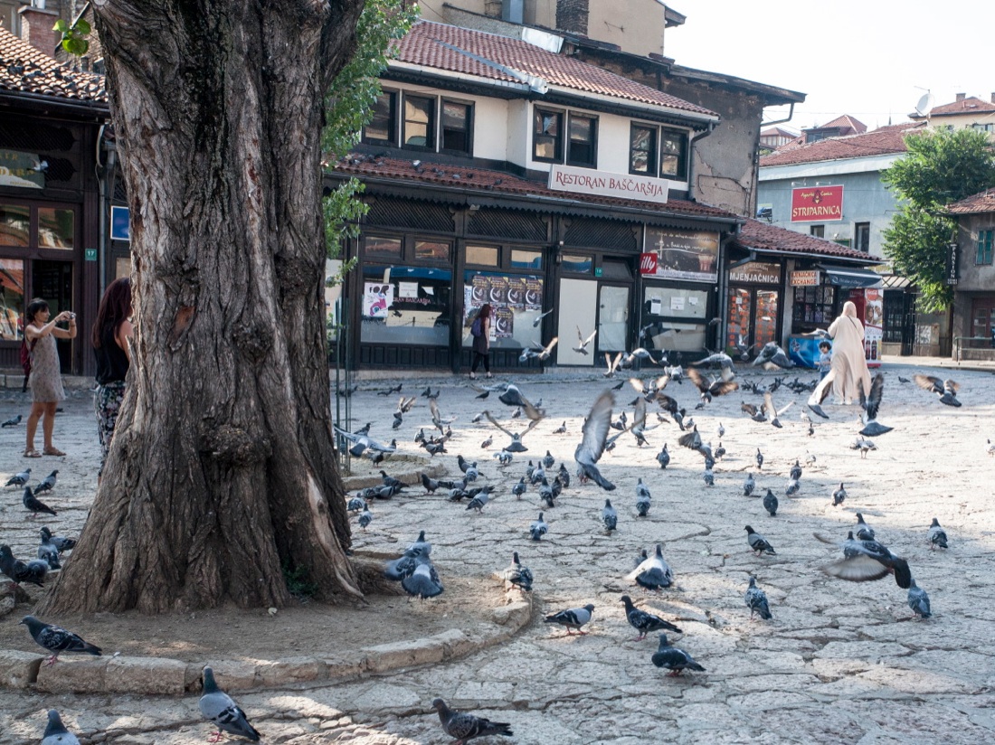 Sarajevo in mostra nel Salento Sarajevo in mostra nel Salento