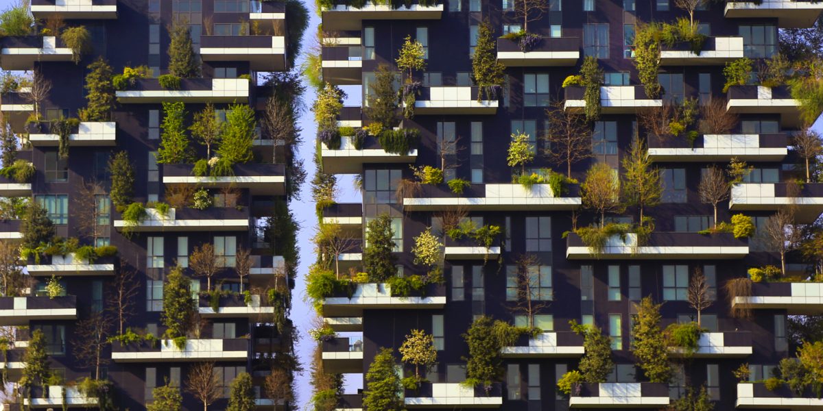 Galleria foto 'Tutti pazzi per il co-housing' - foto 5