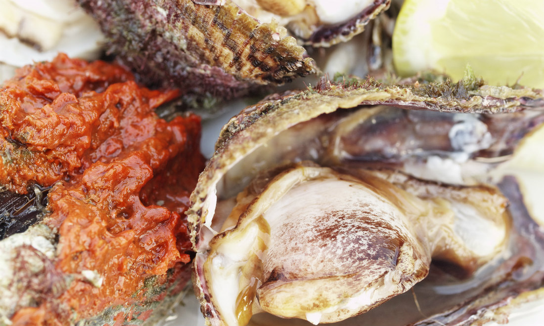 I 7 ristoranti da non perdere a Bari