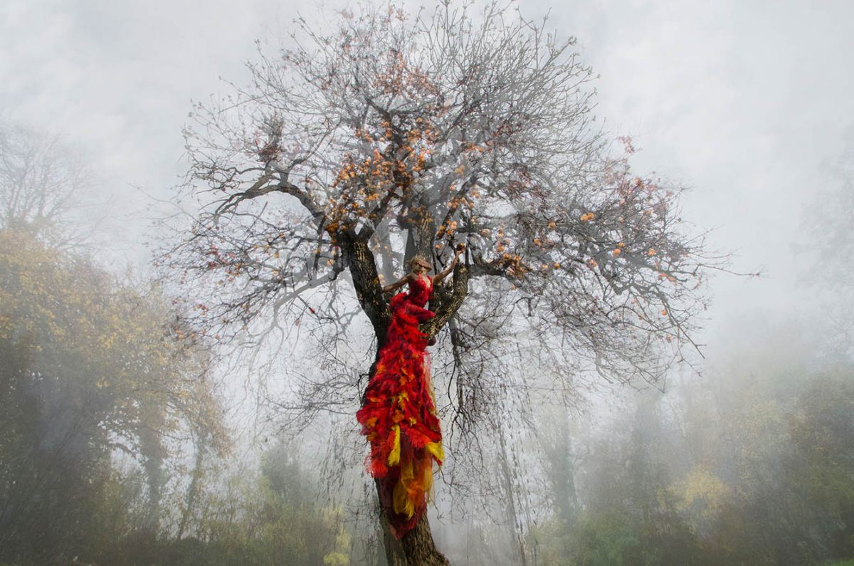 Galleria foto 'Il Solstizio d’estate in mostra a Milano' - foto 7