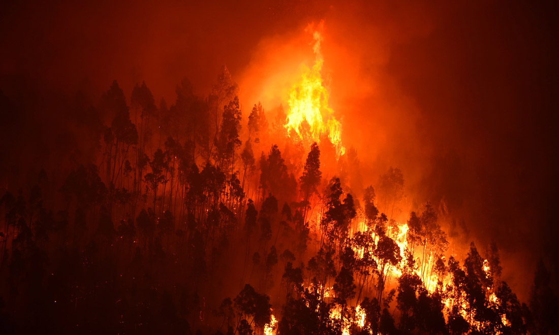 Portogallo, incendio nei boschi di Pedrogao Grande: una tragedia mai vista – Foto e video