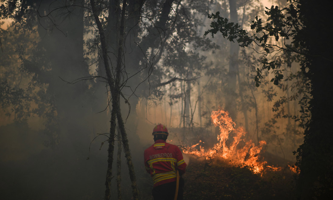 Portogallo, incendio nei boschi di Pedrogao Grande: una tragedia mai vista – Foto e video