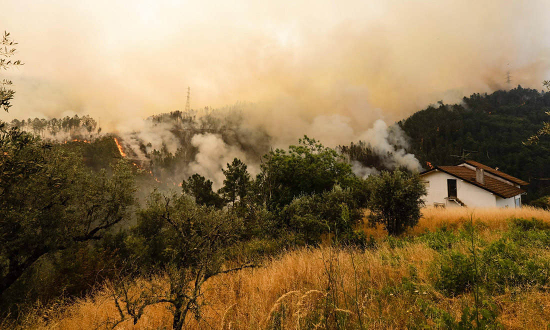 Portogallo, incendio nei boschi di Pedrogao Grande: una tragedia mai vista – Foto e video